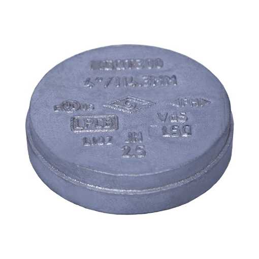 Picture of CAP DUCTILE IRON ASTM A536 PAINTED 100 27MM LONG