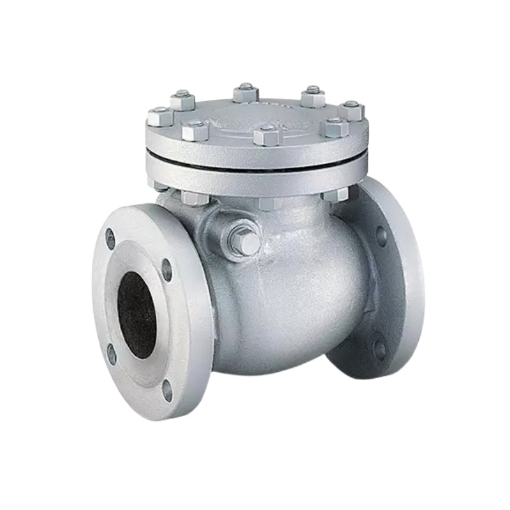 Picture of Non return valve, L&T, 50mm, 300#, WCB, F6, MESC Specification