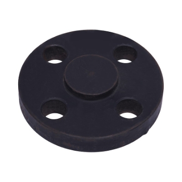 Picture of FORGED FLANGE ASTM/ASME A/SA 105 ASA600 x RF x BLD x 25