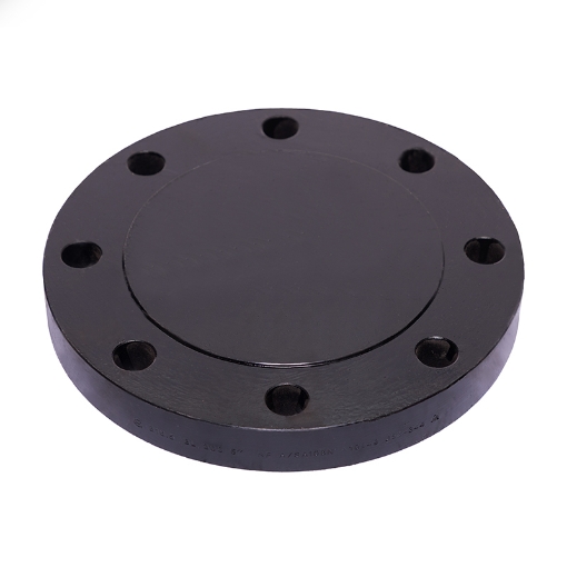 Picture of FORGED FLANGE ASTM/ASME A/SA 105 ASA300 x RF x BLD x 50