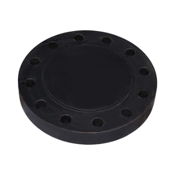 Picture of FORGED FLANGE ASTM/ASME A/SA 105 ASA600 x RF x BLD x 200