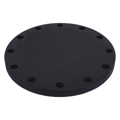 Picture of FORGED FLANGE ASTM/ASME A/SA 105 ASA150 x FF x BLD x 250