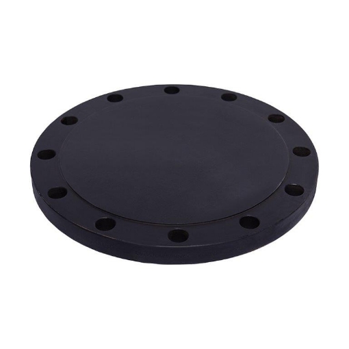 Picture of FORGED FLANGE ASTM/ASME A/SA 105 ASA150 x RF x BLD x 250