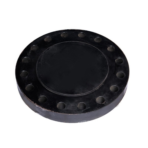 Picture of FORGED FLANGE ASTM/ASME A/SA 105 ASA600 x RF x BLD x 250