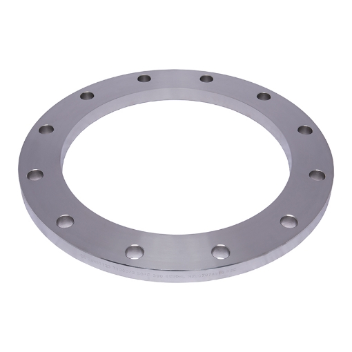 Picture of PLATE FLANGE GRADE 304 L T1000 FLAT FACE SLIP ON 300