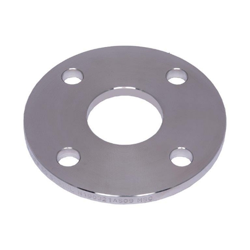 Picture of PLATE FLANGE GRADE 316 L T1000 FLAT FACE SLIP ON 50
