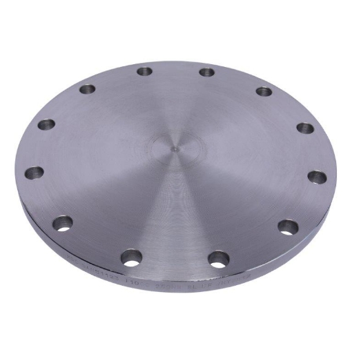 Picture of PLATE FLANGE COMMERCIAL QUALITY T1000 FLAT FACE BLIND 300