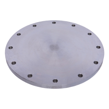 Picture of PLATE FLANGE COMMERCIAL QUALITY T600 FLAT FACE BLIND 300