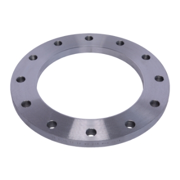 Picture of PLATE FLANGE COMMERCIAL QUALITY TE FLAT FACE WELD ON 300