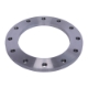 Picture of PLATE FLANGE COMMERCIAL QUALITY TE FLAT FACE WELD ON 350