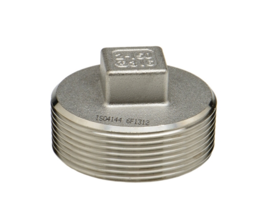 Picture of PLUG SS316 BSP THREADED 150LB 6 x SQUARE