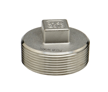 Picture of PLUG SS316 BSP THREADED 150LB 25 x SQUARE