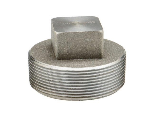 Picture of PLUG 6000LBS A105 FS 80 x SQ

